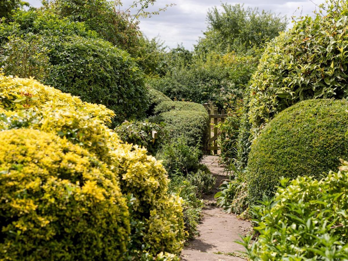 Pass The Keys Cosy Cottage With Views Over The Shropshire Hills Ludlow Dış mekan fotoğraf